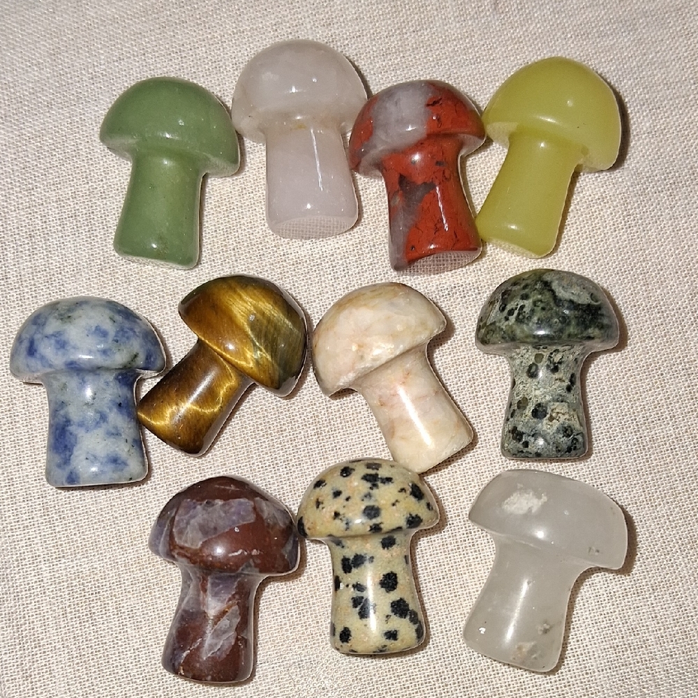 MM1 Assorted Stone Mushroom Figurines - Set of 11